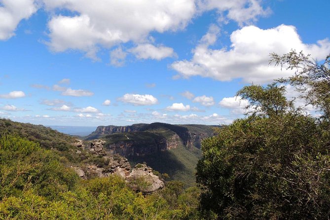 Private Blue Mountains Insider Tour from Sydney - Why this private Blue Mountains trip works well
