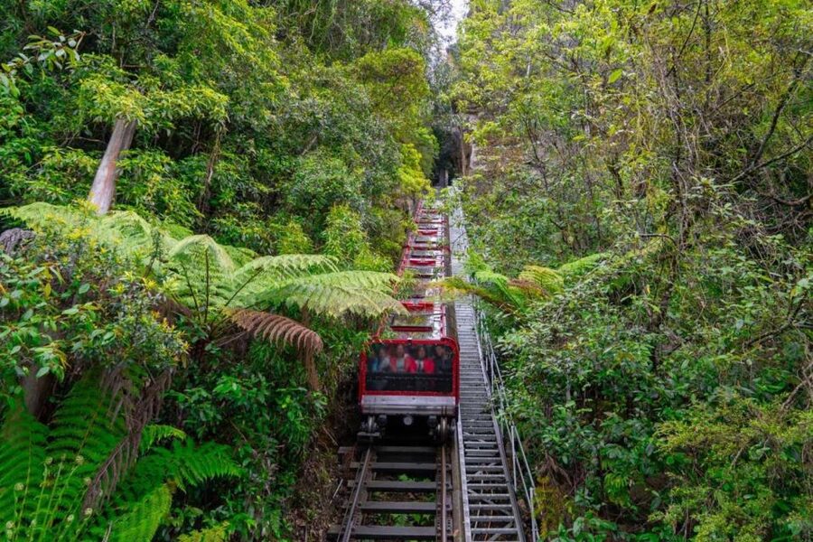 Private Blue Mountains, Scenic World & Wentworth Falls Tour - What your guide adds to the day