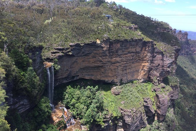 PRIVATE Blue Mountains tour & Koalas, Kangaroos, Cruise plus more - Key points to know before booking