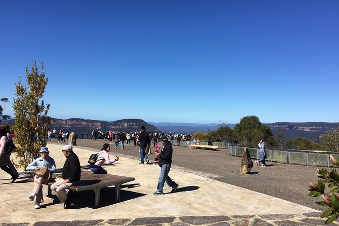 PRIVATE Blue Mountains tour & Koalas, Kangaroos, Cruise plus more - A private start from Sydney at 8 a.m.