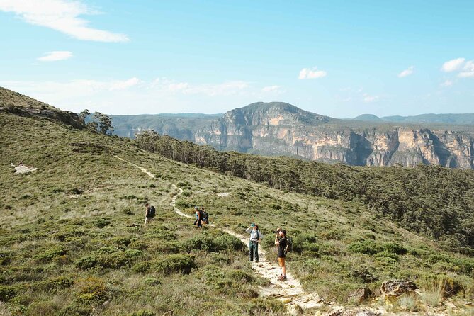 Private Blue Mountains Tour | Waterfalls, Koalas & Views - Why a private Blue Mountains day makes sense