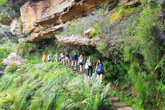 PRIVATE Blue Mountains Tour, Wildlife Park and River Cruise - Blue Mountains National Park and Aboriginal context