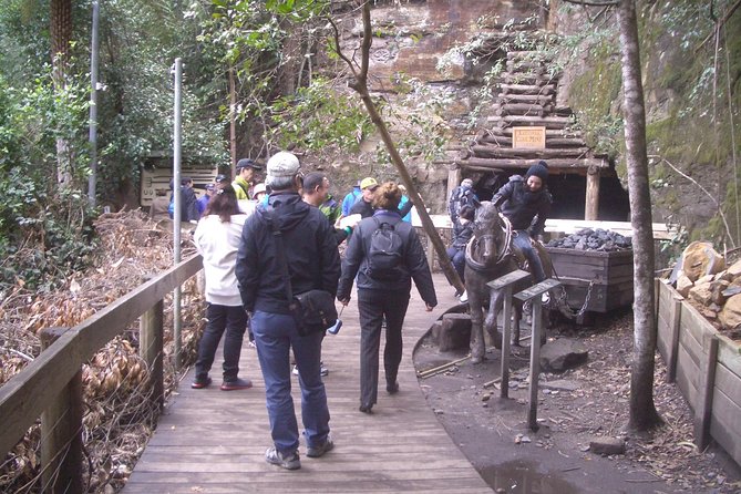 PRIVATE Blue Mountains Tour with Expert Guide - Scenic World is the biggest optional decision