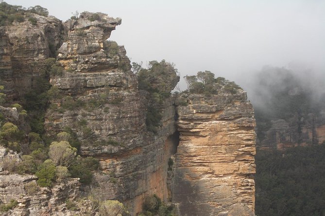 PRIVATE Blue Mountains Tour with Expert Guide - The ferry back to Sydney is a smart finish