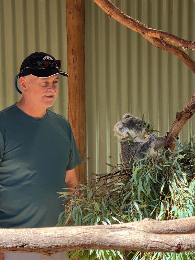Private BlueMountains, ScenicWorld & AustralianWildlife Tour - Why the private format matters on a 10-hour day