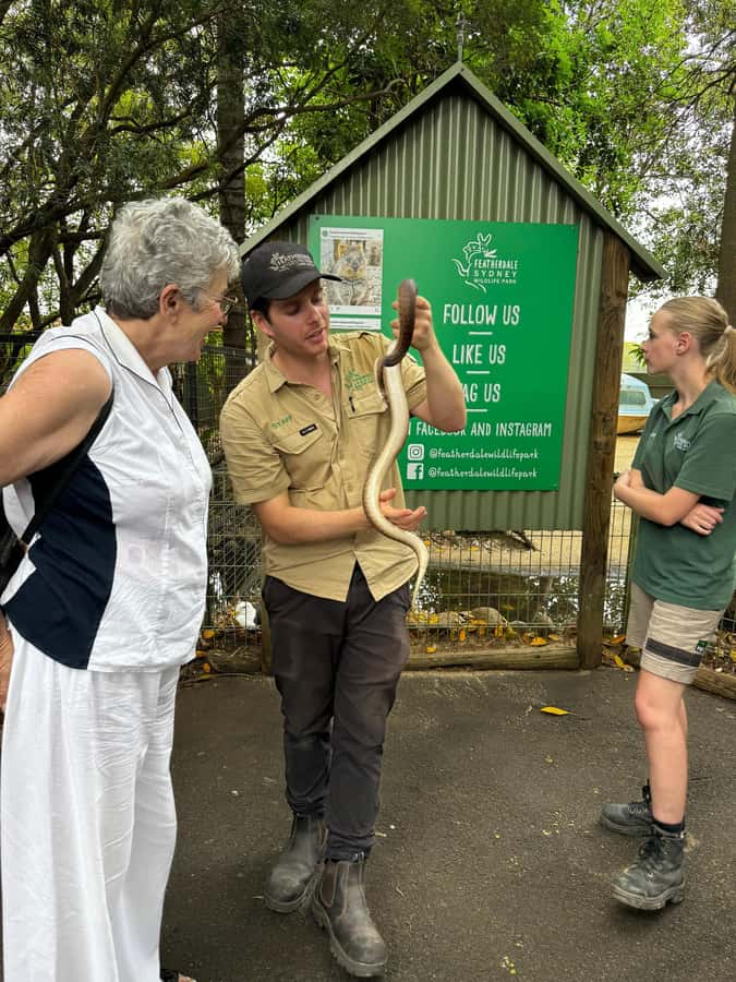 Private BlueMountains, ScenicWorld & AustralianWildlife Tour - The quieter lookouts: Eaglehawk, Hildas, Boars Head, and Cahills
