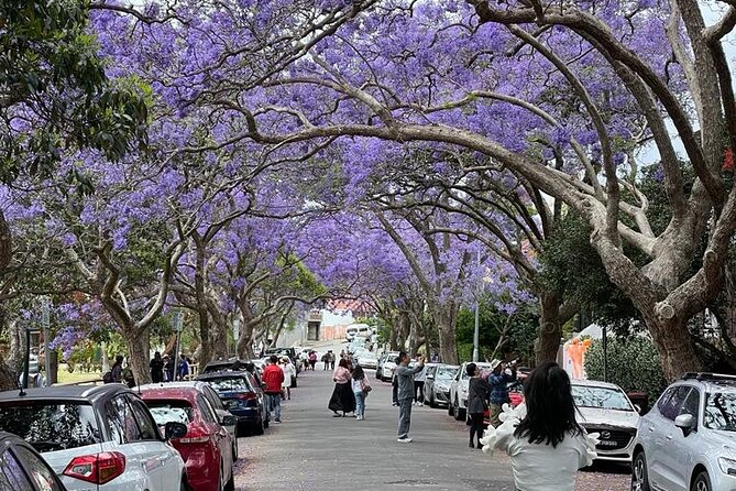 Private City Tour: Best of Sydney - Strickland House and Parsley Bay: the quieter side of Sydney