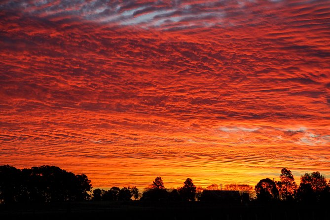 Private full-day wine tour in the Hunter Valley - Key points to know before booking