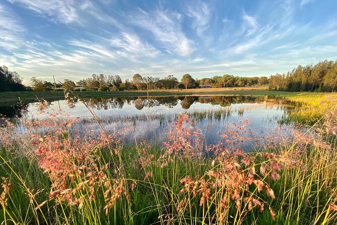 Private full-day wine tour in the Hunter Valley - Wine tasting costs and the true price