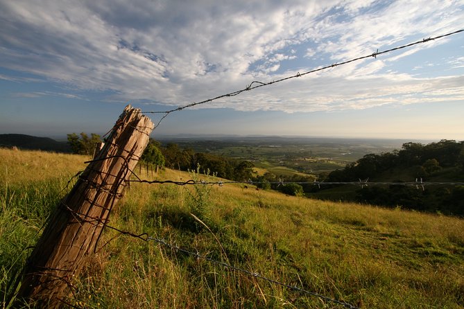 Private full-day wine tour in the Hunter Valley - Who will get the most from this tour