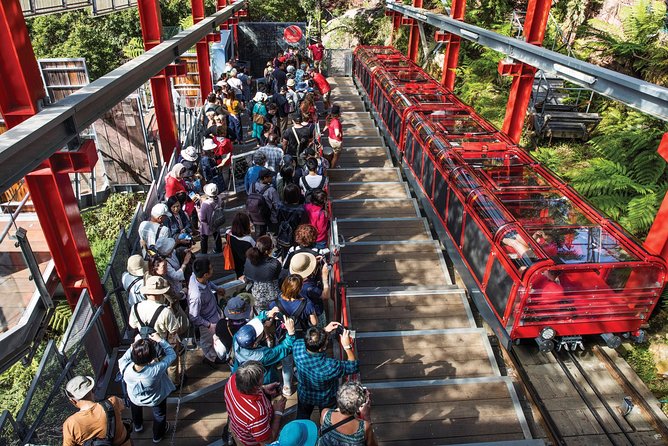 Private Guided Tour: Blue Mountains Tour from Sydney - Katoomba Falls and the power of the valley