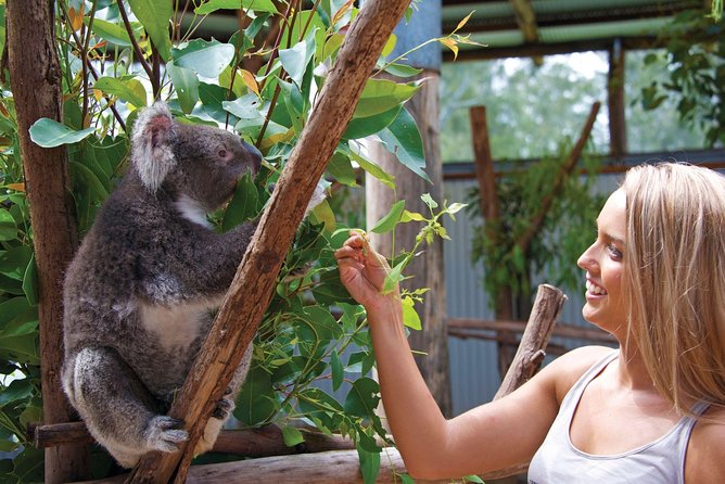 Private Guided Tour: Blue Mountains Tour from Sydney - Blue Mountains National Park and the feeling of open space