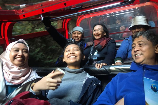 Private Guided Tour from Sydney to Blue Mountains National Park - Eaglehawk Lookout and the Three Sisters