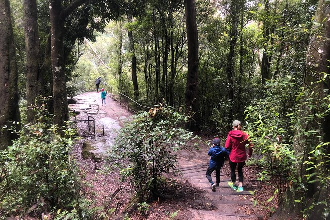 Private Guided Tour from Sydney to Blue Mountains National Park - Katoomba Falls and the sound of moving water