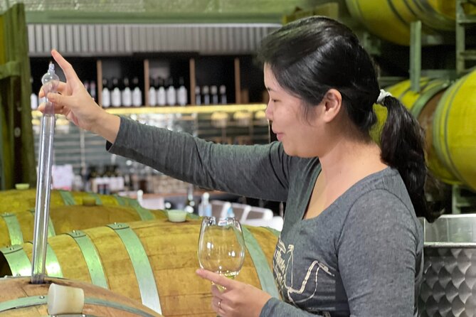 Private Hunter Valley Luxury Tour From Sydney - Comfort, timing, and practical details