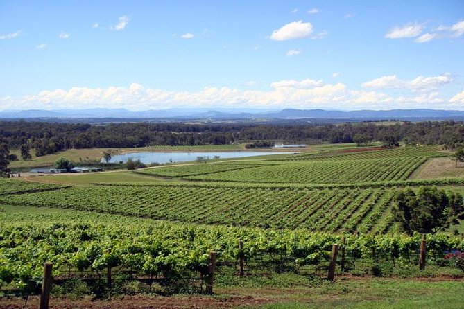 Private Hunter Valley Wine-Tasting Day Tour from Sydney - Key points to know before booking