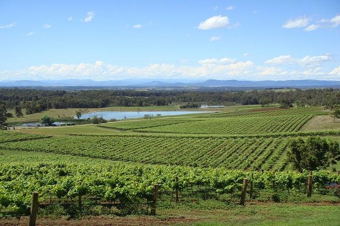 Private Hunter Valley Wine-Tasting Day Tour from Sydney - What the six hours in wine country look like
