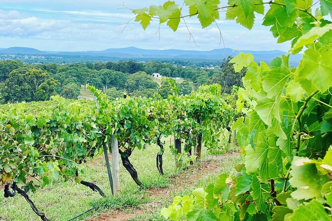 Private Hunter Valley Wine Tasting Tour from Sydney - Why a private Hunter Valley day works well