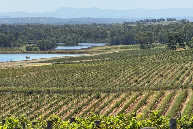 Private Hunter Valley Wine Tasting Tour from Sydney - Cheese, chocolate, and special requests