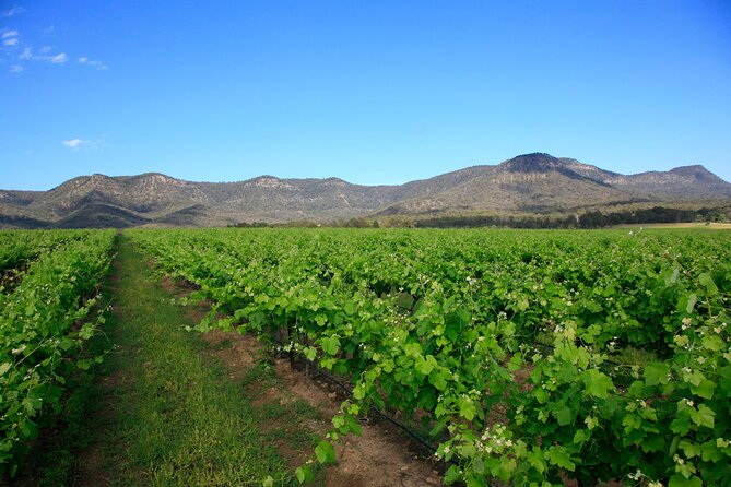 Private Luxury Tour: Tastes of the Hunter Valley - The guides are a major part of the day