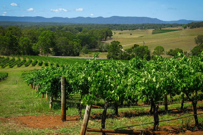Private Luxury Tour: Tastes of the Hunter Valley - Glandore Estate and the Brokenback Mountain foothills