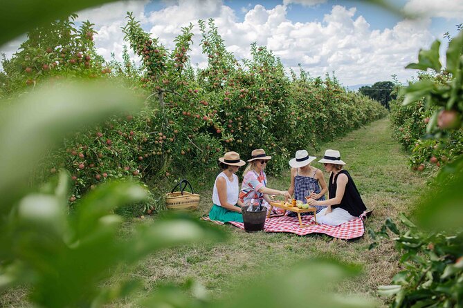 Private Picnic Lunch Experience in Orange with Wine - The Printhie wine tasting