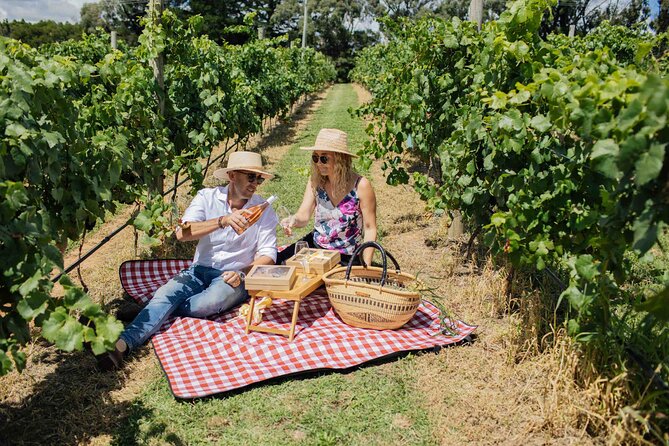 Private Picnic Lunch Experience in Orange with Wine - Weather, comfort, and practical planning