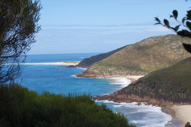 Private Port Stephens Day Trip from Sydney incl Dolphin Cruise - Three hours on the Moonshadow dolphin cruise