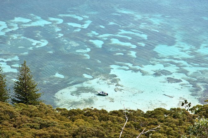 Private Port Stephens Day Trip from Sydney incl Dolphin Cruise - Private tour advantages, and one important limit