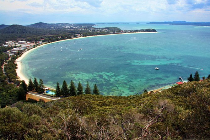 Private Port Stephens Day Trip from Sydney incl Dolphin Cruise - What to bring and how to pace yourself