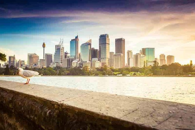 Private Sydney City and Bondi Beach Half Day Tour - One hour at Bondi Beach