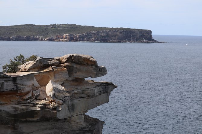 Private Sydney City and Bondi Beach Half Day Tour - The guide and the private group advantage