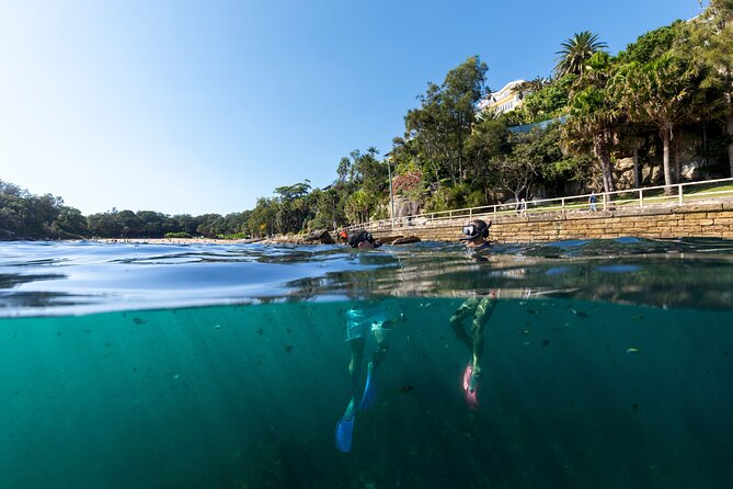 Private Sydney Snorkeling Experience: Explore Cabbage Tree Bay - Shelly Beach, your launch point in Manly