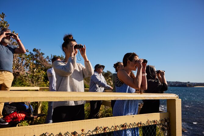 Private Sydney Snorkeling Experience: Explore Cabbage Tree Bay - The guide makes the difference