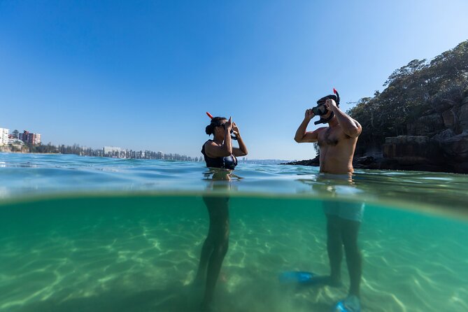 Private Sydney Snorkeling Experience: Explore Cabbage Tree Bay - Getting there and planning the rest of your day