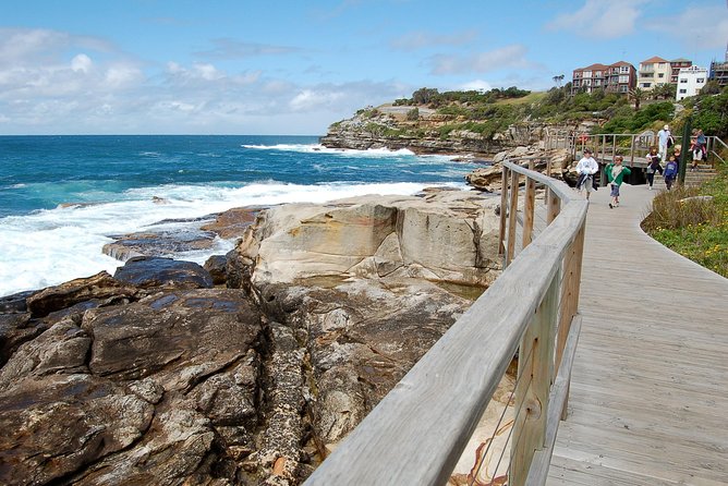Private Sydney Tour Including Sydney Opera House, Bondi and Manly - Manly Beach and the optional ferry idea