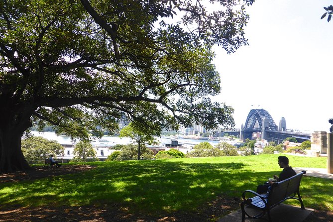 Private Tour: Half-Day Iconic Sydney - Why this private Sydney tour works as an introduction
