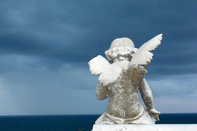 Private Tour: Half-Day Iconic Sydney - Gap Park, cliffs, and possible whale spotting