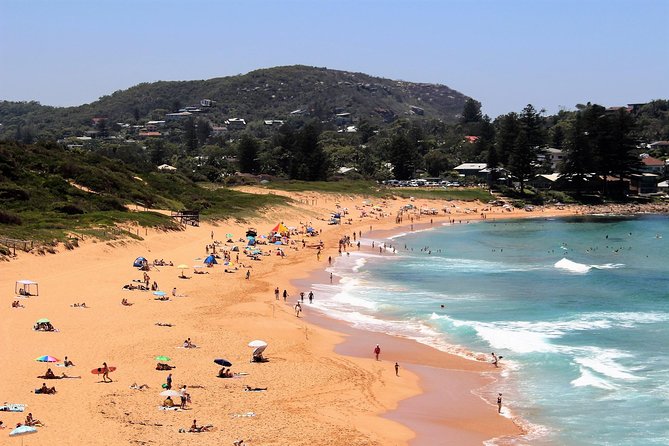 Private tour of Ku-Ring-Gai National Park and Northern Beaches - Who will get the best value from $377.22?