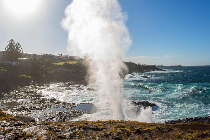 Private Tour: Sydney South Coast & Highlands - Kiama’s Blowhole and Saddleback Mountain