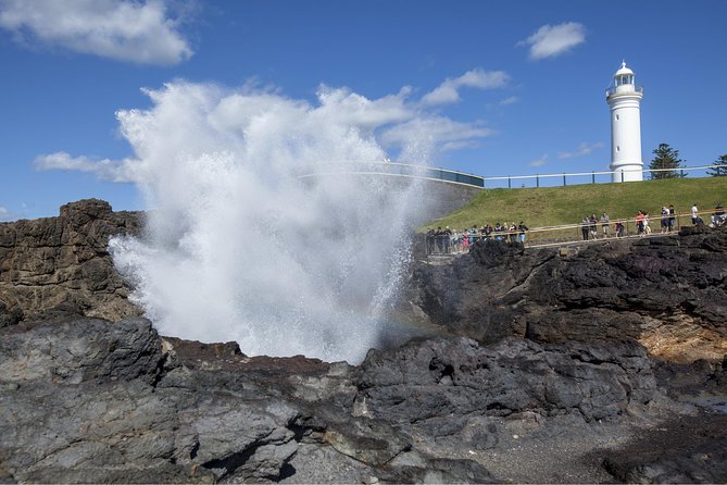 Private Tour: Sydney South Coast & Highlands - Bald Hill and the Sea Cliff Bridge
