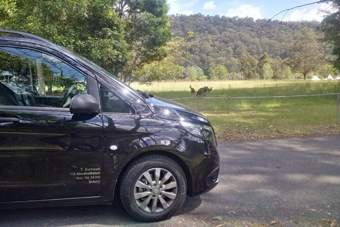 Private Transfer FROM Sydney CBD to Sydney Airport 1 to 5 people - Family use, child seats, and service animals