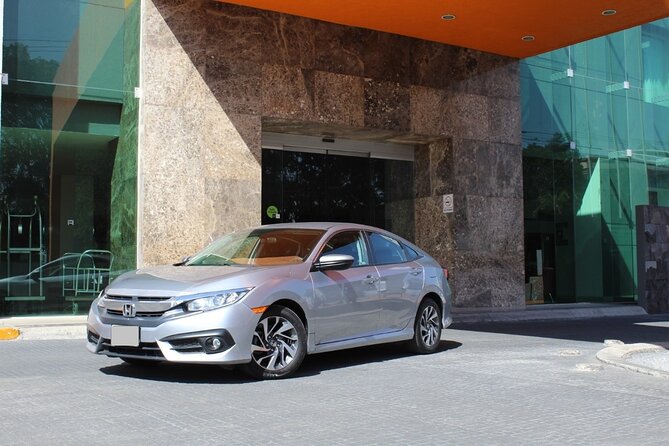 Private Transfer from Sydney Cruise Port to Sydney Airport (SYD) - Who will find this transfer useful