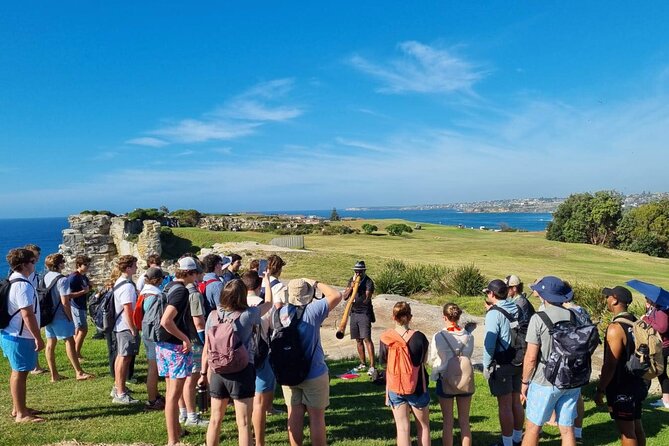 Private Walangari's Aboriginal Walking Tour in Bondi Beach - Aboriginal rock carvings and the meaning behind them