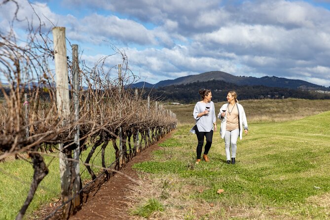 Scenic Hunter Valley Tour with Wine and Cheese Tastings - Three wineries, three different impressions
