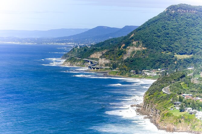 Sea Cliff Bridge, Kiama Blowhole, Beaches & Wildlife Small Group - Key points before you book