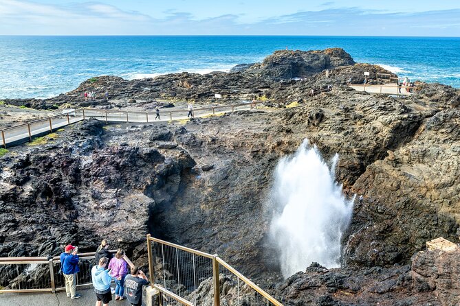 Sea Cliff Bridge, Kiama Blowhole, Beaches & Wildlife Small Group - Jamberoo, farms, and the quieter return route