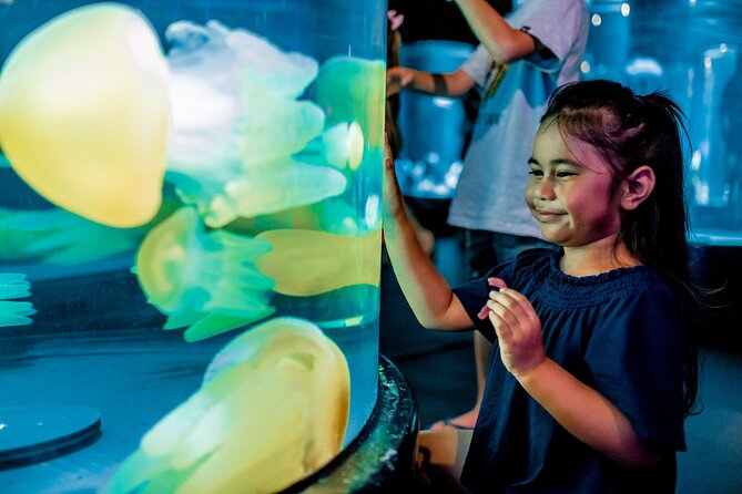 SEA LIFE Sydney Aquarium Entrance Ticket - Entering through the themed aquarium zones