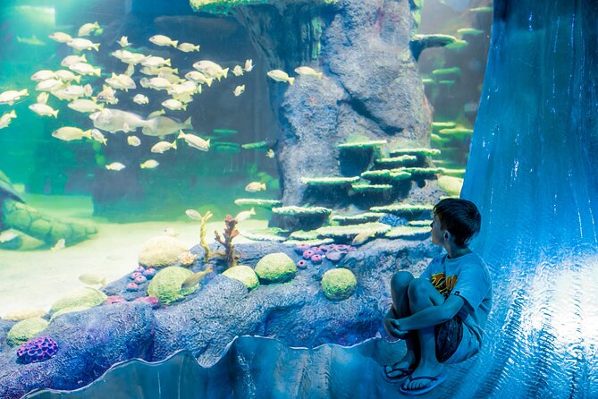 SEA LIFE Sydney Aquarium Entrance Ticket - Is the $31.56 ticket good value?