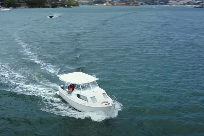 Self Drive Boat Hire Sydney Harbour (No license required) - A boat for families, friends, and first-time captains